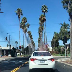 Meet your Posher, Chase